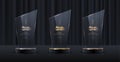 Glass award trophy set. Transparent prize template with golden palm branch. Winner first place concept.